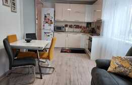 Apartament la parter in vila, 2 camere decomandat, 47mp,  zona Tractorul