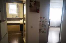 Apartament la parter in vila, 2 camere decomandat, 47mp,  zona Tractorul