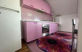 Apartament 2 camere, 55 mp, zona strazii Calea Turzii