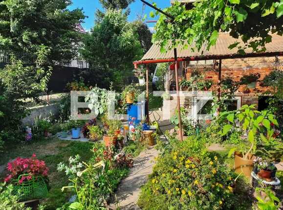 Teren de vânzare Baciu - 91304TV | BLITZ Cluj-Napoca | Poza2