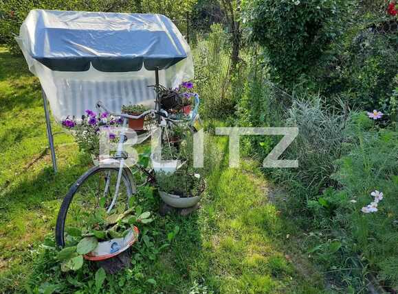 Teren de vânzare Baciu - 91304TV | BLITZ Cluj-Napoca | Poza7