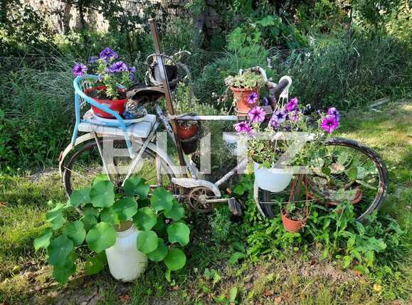 Teren de vânzare Baciu - 91304TV | BLITZ Cluj-Napoca | Poza6