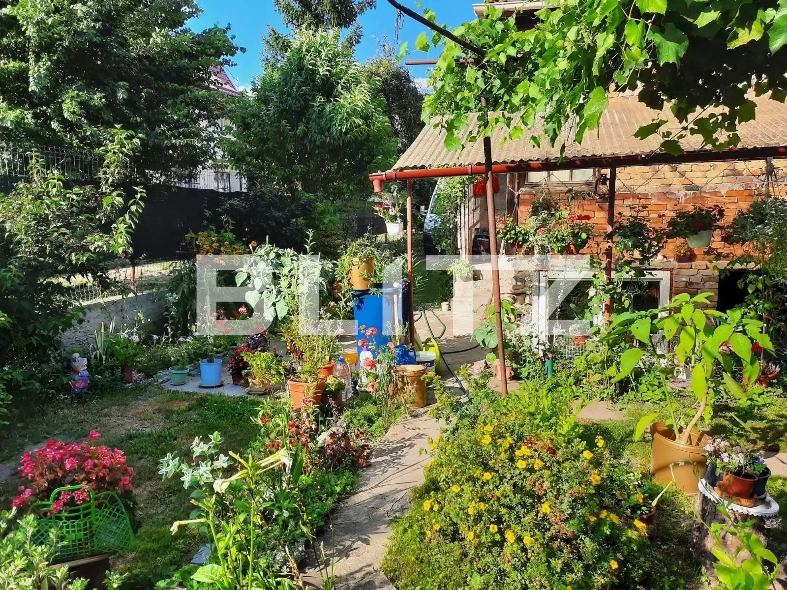 Teren de vânzare Baciu - 91304TV | BLITZ Cluj-Napoca | Poza2