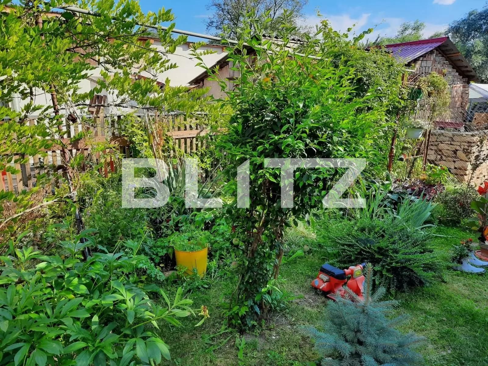 Teren de vânzare Baciu - 91304TV | BLITZ Cluj-Napoca | Poza5