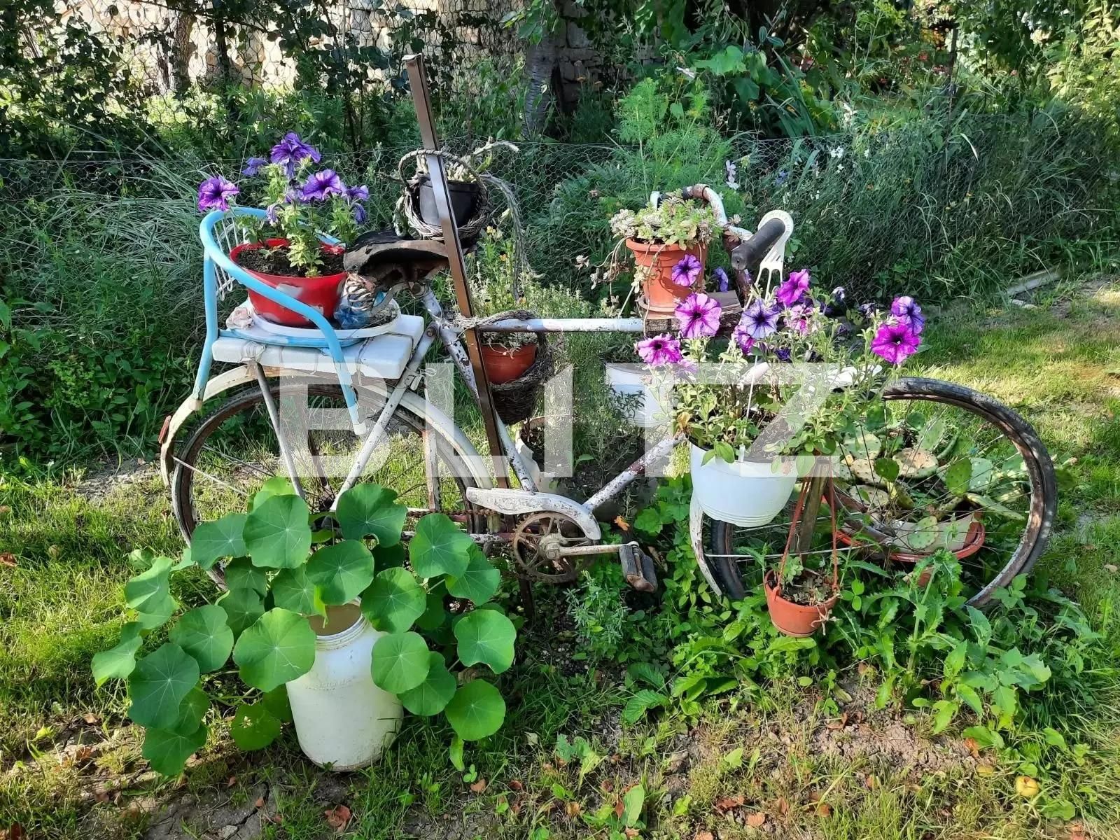 Teren de vânzare Baciu - 91304TV | BLITZ Cluj-Napoca | Poza6