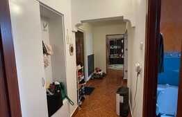 Apartament 2 camere, parter,  mobilat/utilat, 57 mp utili, zona Uzina 2