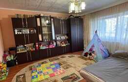 Apartament 2 camere, parter,  mobilat/utilat, 57 mp utili, zona Uzina 2