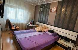 Apartament 2 camere, parter,  mobilat/utilat, 57 mp utili, zona Uzina 2