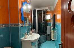 Apartament 2 camere, parter,  mobilat/utilat, 57 mp utili, zona Uzina 2