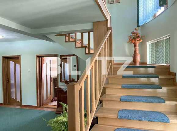 Casa de vânzare 7 camere Dambul Rotund - 91332CV | BLITZ Cluj-Napoca | Poza16