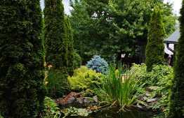 Oportunitate! Casa 300 mp utili, 1000 mp teren, zona Gruia