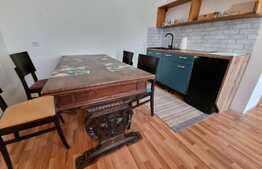 Oportunitate! Casa 300 mp utili, 1000 mp teren, zona Gruia