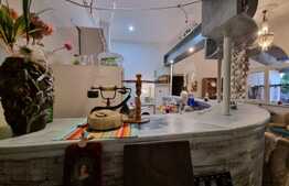 Oportunitate! Casa 300 mp utili, 1000 mp teren, zona Gruia