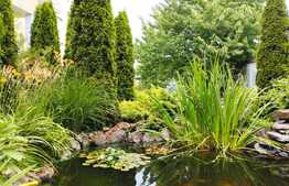 Oportunitate! Casa 300 mp utili, 1000 mp teren, zona Gruia