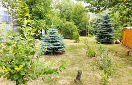 Oportunitate! Casa 300 mp utili, 1000 mp teren, zona Gruia