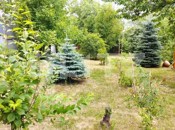 Casa de vânzare 5 camere Gruia - 91334CV | BLITZ Cluj-Napoca | Poza11