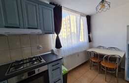 Garsoniera, 35 mp, mobilata modern, zona strazii Grigore Alexandrescu