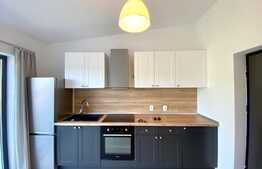 Apartament de o camera, 50 mp, prima inchiriere, zona UMF