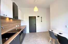 Apartament de o camera, 50 mp, prima inchiriere, zona UMF