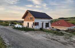 Casa cu subsol, 6 camere, 160 mp, panorama, Corusu