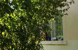 Oportunitate! Casa 200 mp, teren 442 mp, Gruia