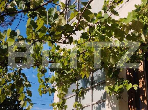 Casa de vânzare 5 camere Gruia - 91385CV | BLITZ Cluj-Napoca | Poza3