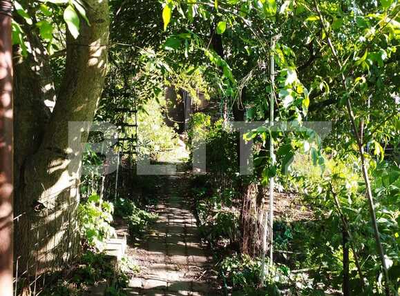 Casa de vânzare 5 camere Gruia - 91385CV | BLITZ Cluj-Napoca | Poza2