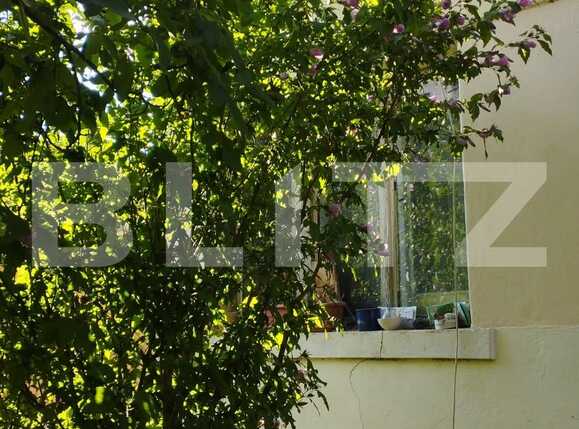 Casa de vânzare 5 camere Gruia - 91385CV | BLITZ Cluj-Napoca | Poza6