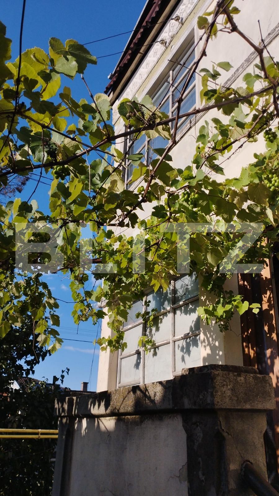 Casa de vânzare 5 camere Gruia - 91385CV | BLITZ Cluj-Napoca | Poza3