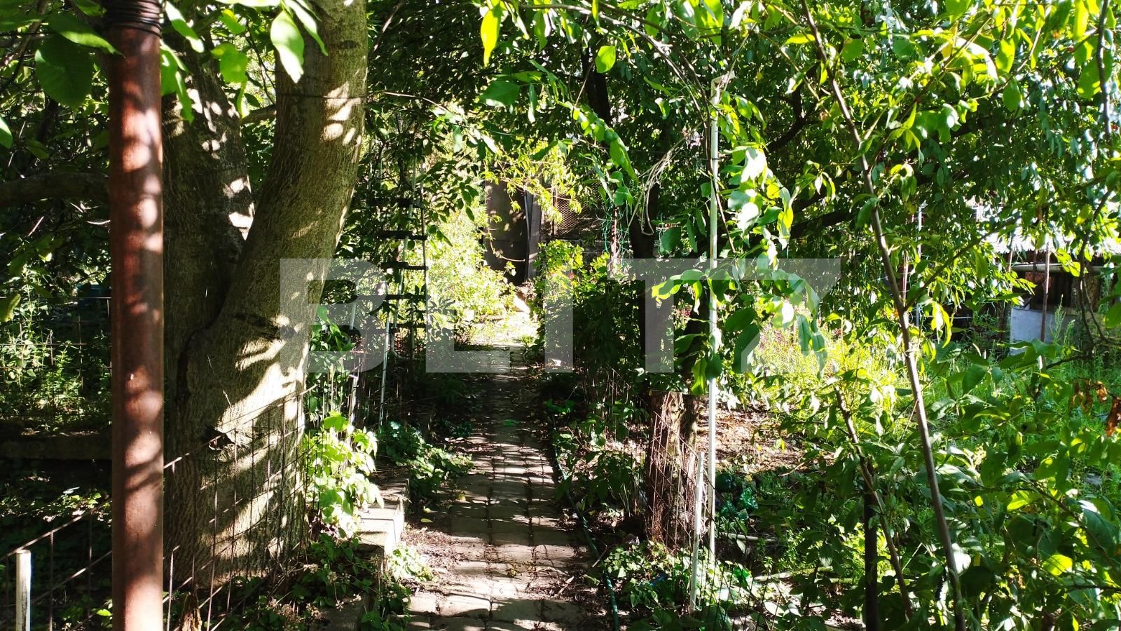 Casa de vânzare 5 camere Gruia - 91385CV | BLITZ Cluj-Napoca | Poza2