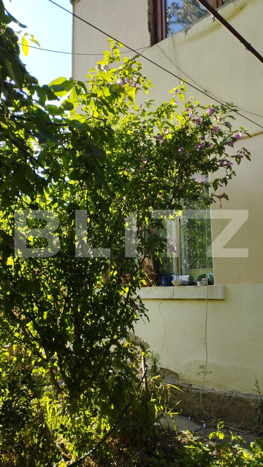 Casa de vânzare 5 camere Gruia - 91385CV | BLITZ Cluj-Napoca | Poza6