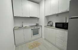 Garsoniera, 45 mp, terasa, prima inchiriere, zona Golden Tulip