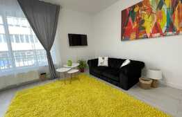 Garsoniera, 45 mp, terasa, prima inchiriere, zona Golden Tulip