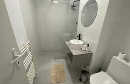 Garsoniera, 45 mp, terasa, prima inchiriere, zona Golden Tulip