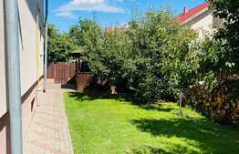 Casa individuala, 240 mp, curte, garaj, zona strazii Traian Vuia