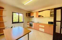 Casa individuala, 240 mp, curte, garaj, zona strazii Traian Vuia