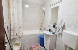 Apartament 1 camera, 31 mp, etaj intermediar, balcon, zona Porii