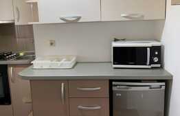 Apartament 1 cameră, 34 mp, balcon, Mănăștur