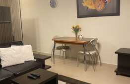 Apartament de 2 camere, 42mp, mobilat modern, zona Tractorul