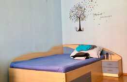 Apartament cu 2 camere, 70 mp, la casa, zona strazii Dambovitei