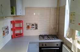 Apartament 2 camere, 40 mp, pet friendly, zona strazii Alverna