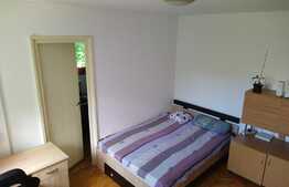 Apartament 2 camere, 40 mp, pet friendly, zona strazii Alverna