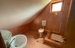 Cabana, 140mp, teren 2450, zona Muntele Rece