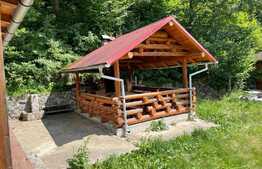 Cabana, 140mp, teren 2450, zona Muntele Rece