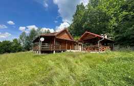 Cabana, 140mp, teren 2450, zona Muntele Rece
