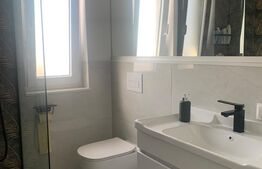 Duplex, mobilat si utilat lux, Dezmir