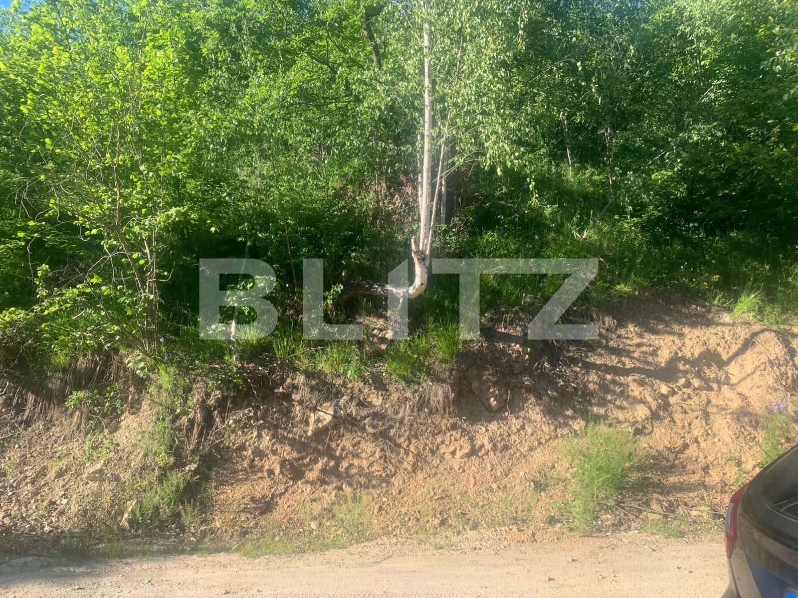 Teren de vânzare Exterior Vest - 91681TV | BLITZ Cluj-Napoca | Poza3