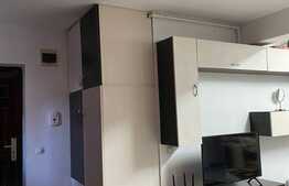 Apartament de 1 camera, 42 mp, decomandat, Intre Lacuri