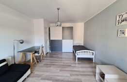 Garsoniera, 45 mp, balcon, zona Kaufland Manastur