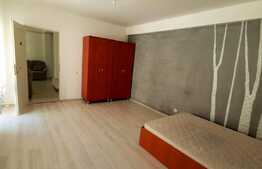 Apartament de 3 camere, etaj 1, parcare, balcon, zona Urusagului